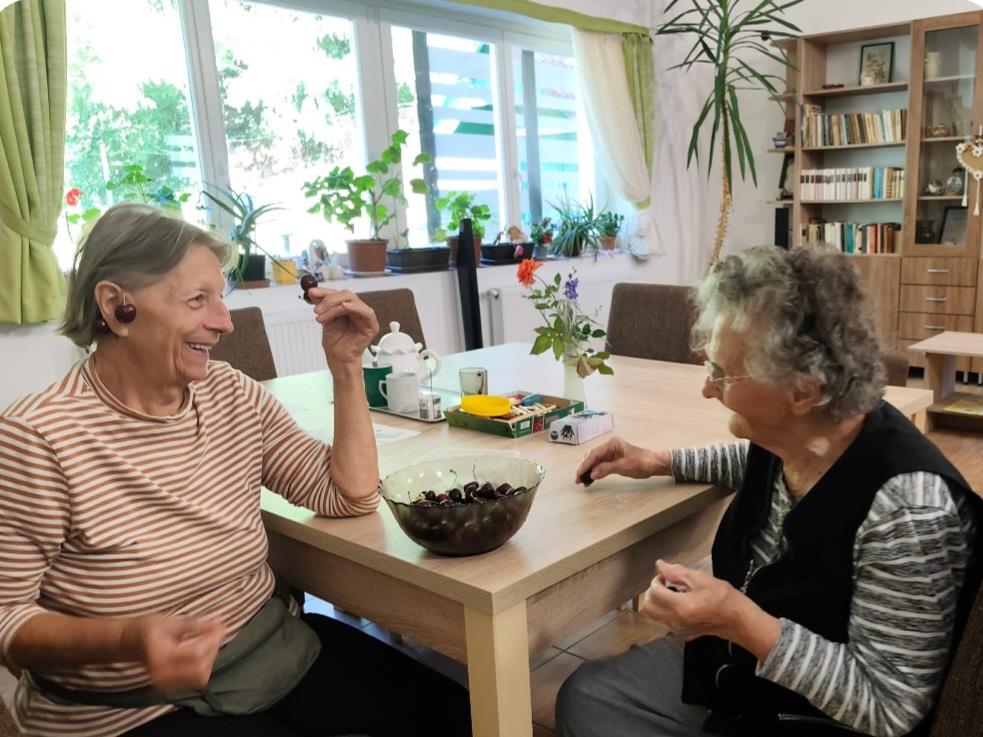 Pillanatképek a Liget Klub mindennapjaiból