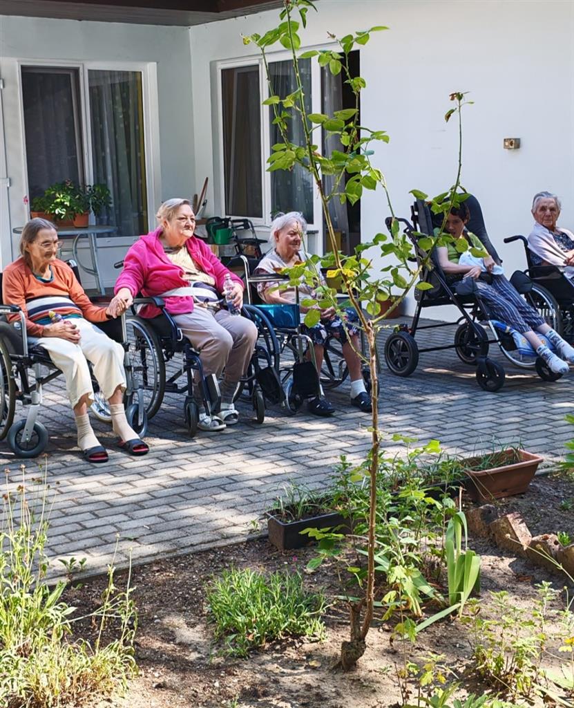 Lengőteke bajnokság a Liget Időskorúak Otthonában